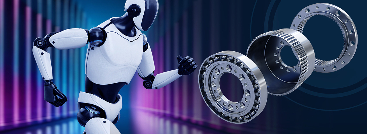 Preview for Webinar Humanoid Robots