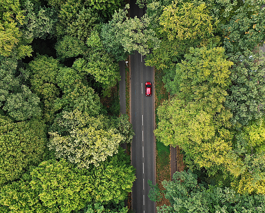 Grüner Wald mit rotem Auto senkrecht von oben - Luftaufnahme -