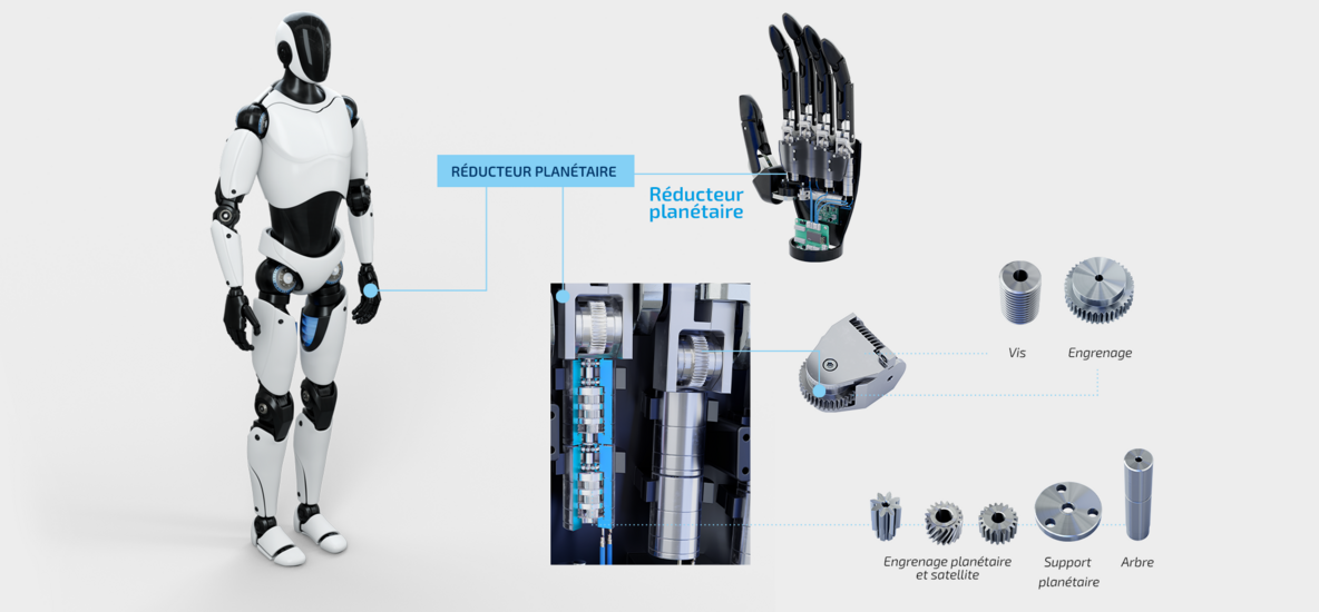 Main robotisée avec module d'entraînement et composants de transmission pour le mouvement des doigts 