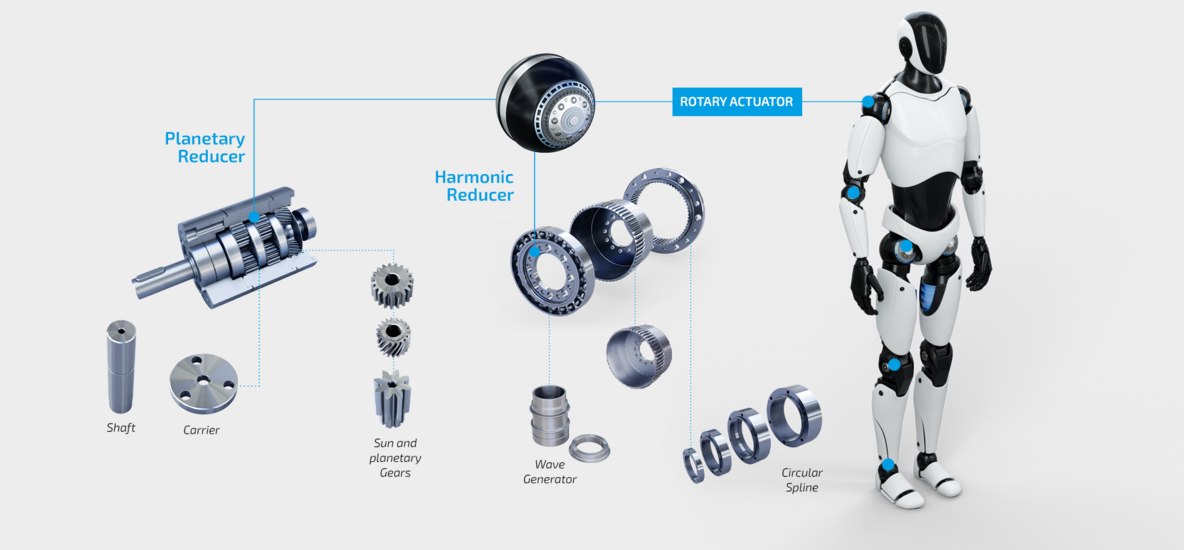 Humanoid robot with planetary gearboxes on all major joints. Detailed views of the rotational actuators. 