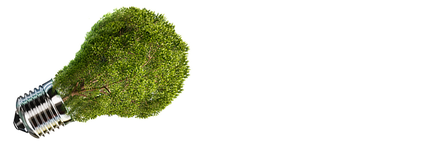 Quality And Environmental Management Top Quality And Environmental Management Top